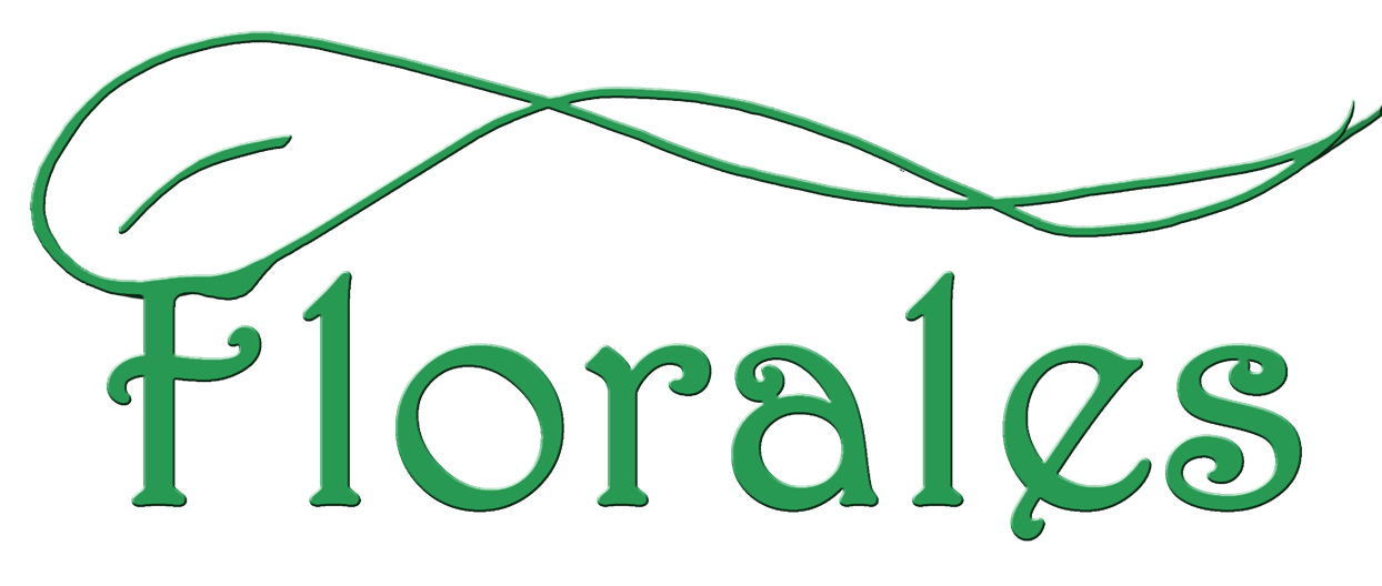 Logo Florales Blumenwerkstatt Riedstadt