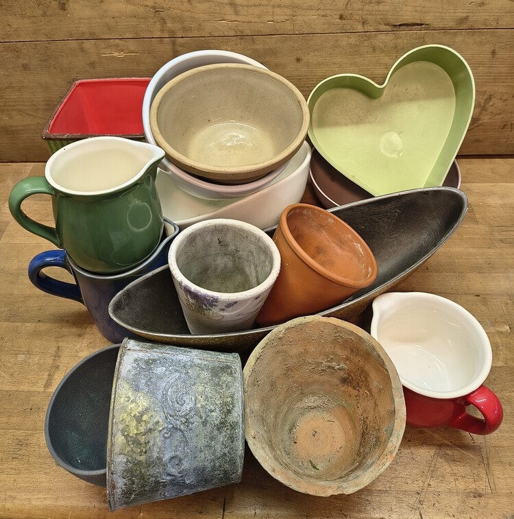 Wiederverwendung von Gefäßen Floristik